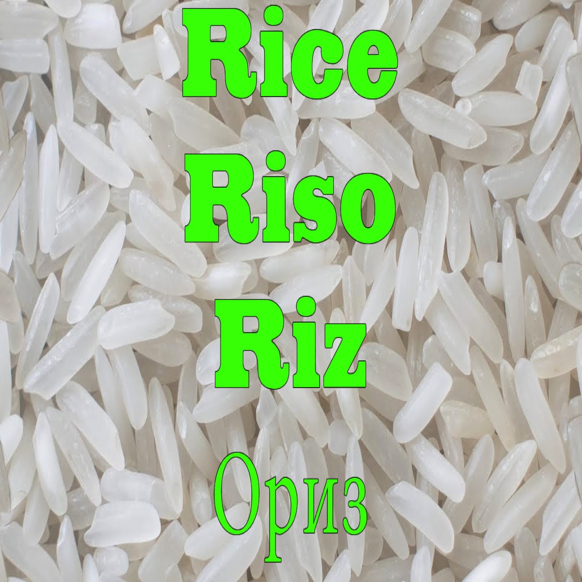 Rice, riso, Riz, any type any quantity